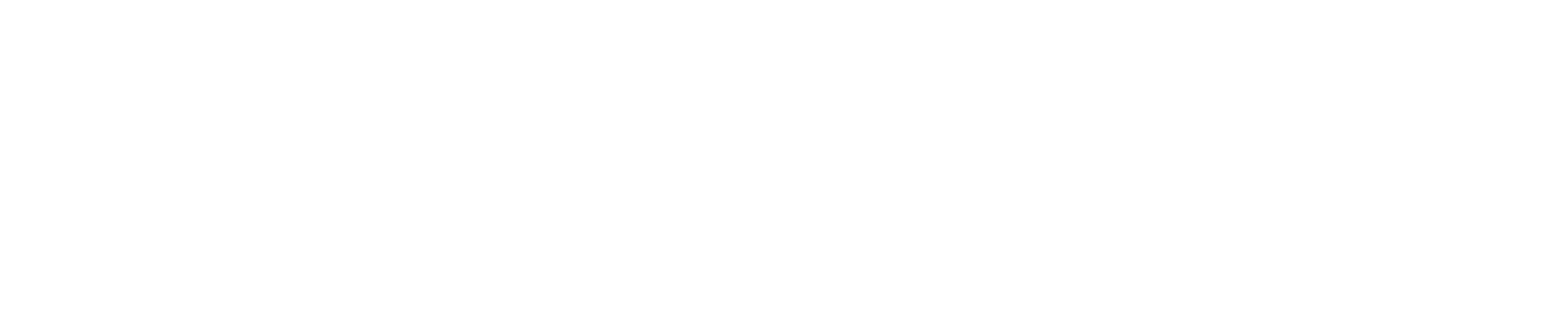 Audit Consult white logo